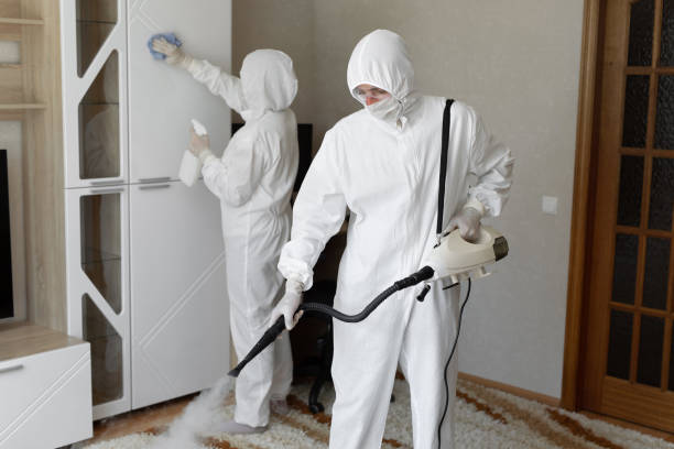 Best Certified Mold Removal  in Del Monte Forest, CA