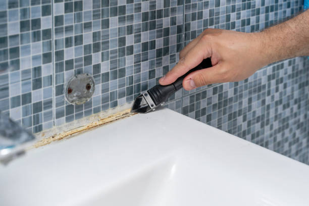 Best Attic Mold Removal  in Del Monte Forest, CA