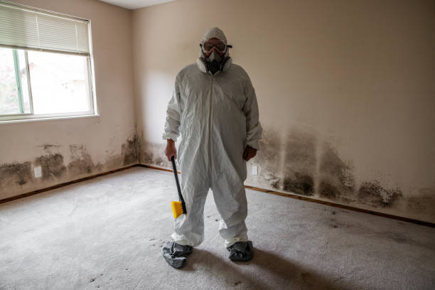 Best Mold Remediation  in Del Monte Forest, CA
