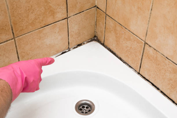 Best Mold Testing  in Del Monte Forest, CA